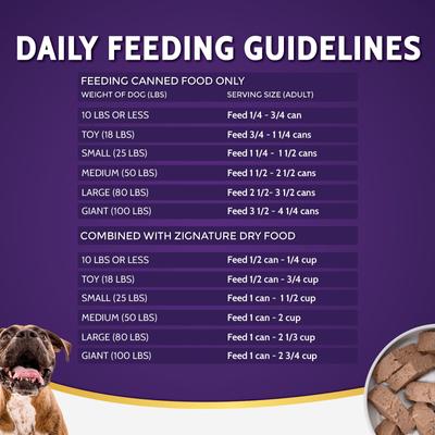 Duck Limited Ingredient Formula Canned Dog Food, 13-oz, case of 12