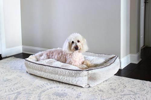 Damaged Hair Dog & Cat Conditioner, 16-fl oz bottle