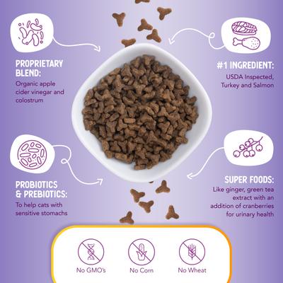 Grain-Free Turkey & Salmon Recipe Dry Cat Food, 4-lb bag