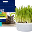 Natural Cat Grass Growing Kit