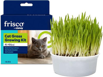 Natural Cat Grass Growing Kit