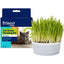Kit de cultivo de césped natural para gatos