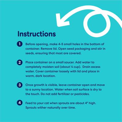 Natural Cat Grass Growing Kit