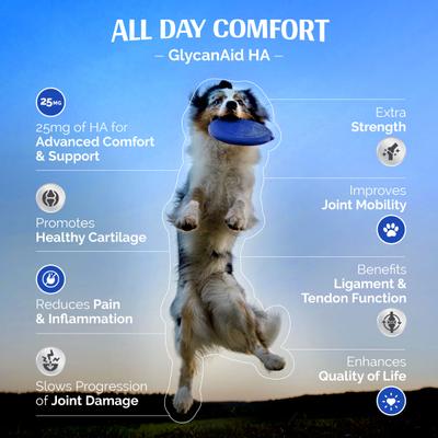 GlycanAid HA Factor Hip & Joint Chewables Dog Supplement, 150 count