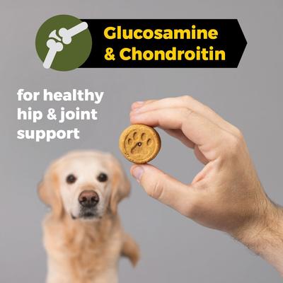 Field Master Healthy Hip & Joint Chicken & Sweet Potato Recipe Grain-Free Dog Treats, 12-oz bag