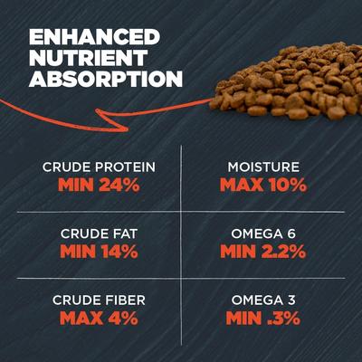 Complete & Balanced Diet Adult Lamb Meal & Chicken Meal with Ancient Grains Recipe Dry Dog Food, 10-lb bag