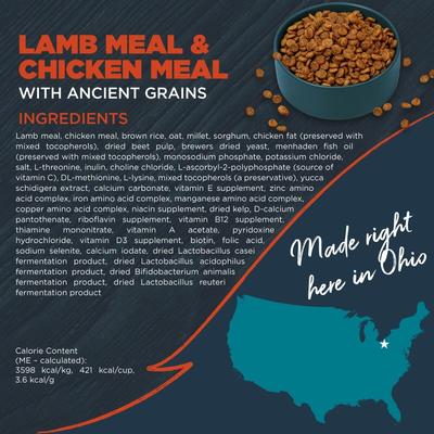 Complete & Balanced Diet Adult Lamb Meal & Chicken Meal with Ancient Grains Recipe Dry Dog Food, 10-lb bag