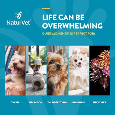 NaturVet, Quiet Moments Plus Melatonin, masticables blandos calmantes con manzanilla y melatonina para perros, 65 unidades