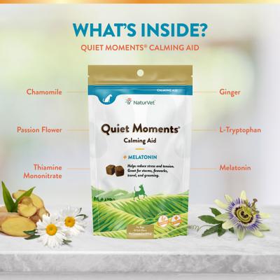 NaturVet, Quiet Moments Plus Melatonin, masticables blandos calmantes con manzanilla y melatonina para perros, 65 unidades