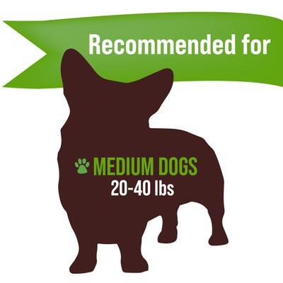 Whole Elk Antler Dog Treats, 2 count, Medium