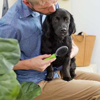 Cat & Dog Combo Brush, Mini
