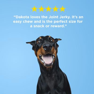 Joint Jerky Bites Dog Treats, 1-lb bag