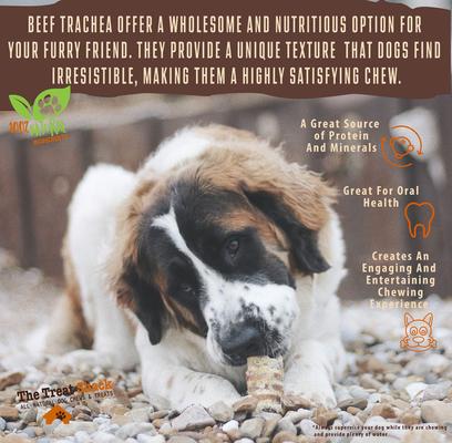 6-in Split Beef Trachea Flats Dog Treat, 30 count