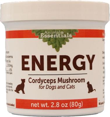 Energy Cordyceps Mushroom Cat & Dog Vitamin Supplement, 80-gm jar