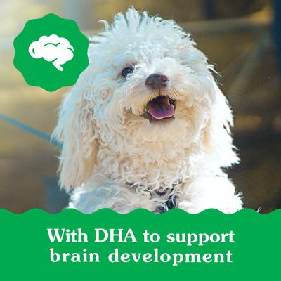 Natural Petite Puppy Dental Dog Treats, 40 count