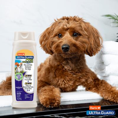 UltraGuard Pro Flea & Tick Dog Shampoo, 18-fl oz bottle