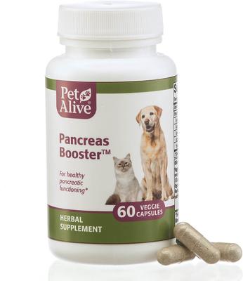 Pancreas Booster Dog & Cat Supplement, 60 count