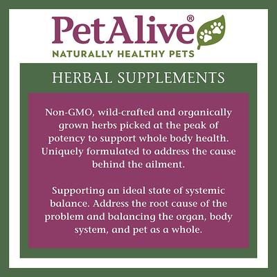 Digestive Support Dog & Cat Supplement, 60 count