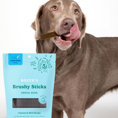 Premios dentales para perros Dailies Brushy Sticks, con receta grande de coco y menta, bolsa de 16 oz