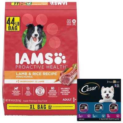 Paquete: alimento seco Iams Proactive Health Minichunks Small KibbleLamb & Rice + paquete variado de alimento húmedo para perros Cesar Filets in Gravy con sabores de carne