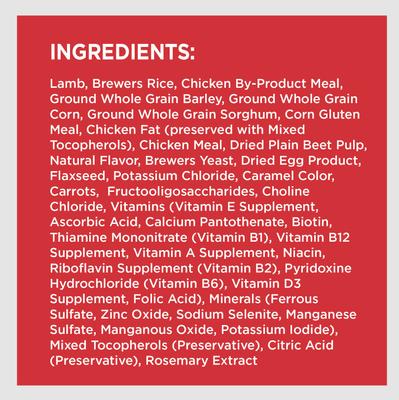 Bundle: Iams Proactive Health Minichunks Small KibbleLamb & Rice Dry Food + Cesar Filets in Gravy Beef Flavors Variety Pack Wet Dog Food