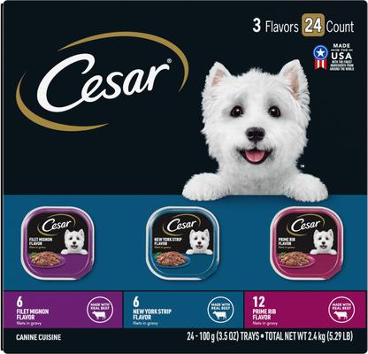 Bundle: Iams Proactive Health Minichunks Small KibbleLamb & Rice Dry Food + Cesar Filets in Gravy Beef Flavors Variety Pack Wet Dog Food