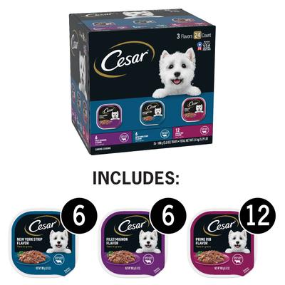 Bundle: Iams Proactive Health Minichunks Small KibbleLamb & Rice Dry Food + Cesar Filets in Gravy Beef Flavors Variety Pack Wet Dog Food