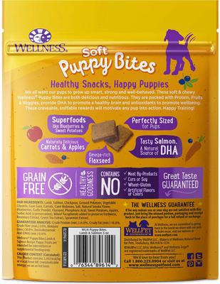 Bundle: Outward Hound Tail Teaser with Refill Dog & Cat Teaser Toy + Wellness Soft Puppy Bites Lamb & Salmon Recipe Grain-Free Dog Treats, 3-oz pouch