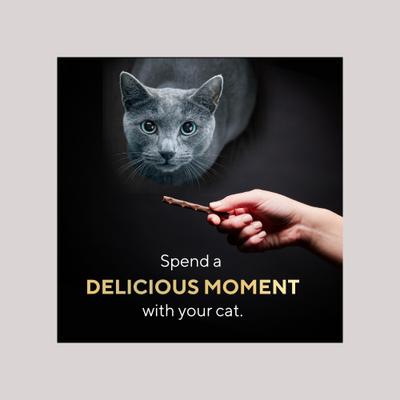 Bundle: Sheba Meaty Tender Sticks Salmon Flavored Cat Treats, 5 count + Frisco Plush, Teaser, Ball & Tunnel Variety Pack Cat Toy with Catnip, 25 count