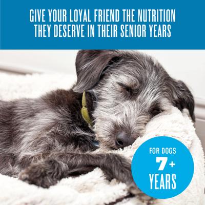 Senior Mousse Grain-Free Chicken, Beef & Pumpkin in Broth Wet Dog Food, 3.5-oz pouch, case of 12