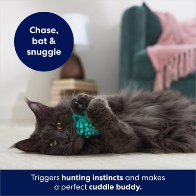 Bundle: Sheba Meaty Tender Sticks Chicken Cat Treats, 5 count + Frisco Moppy Ball Cat Toy, Blue