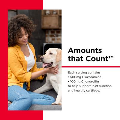 Regular Strength Chewable Tablets Joint Supplement for Dogs, 180 count