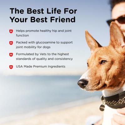 Regular Strength Chewable Tablets Joint Supplement for Dogs, 180 count