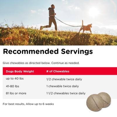 Regular Strength Chewable Tablets Joint Supplement for Dogs, 180 count