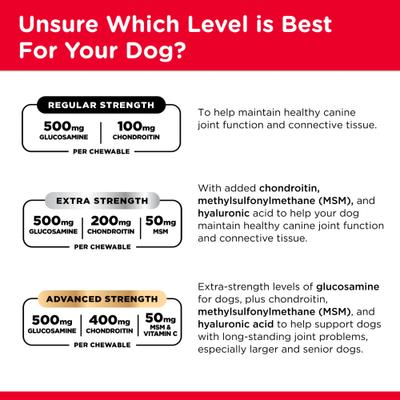 Regular Strength Chewable Tablets Joint Supplement for Dogs, 180 count