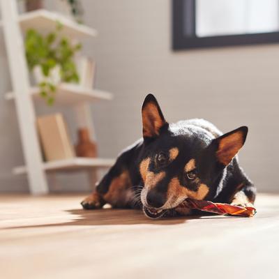 Beef Gullet Springs Dog Treats, 7"-8", 3 count