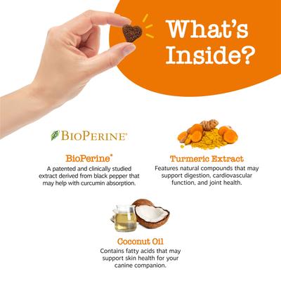 Bundle: Zesty Paws Curcumin Bites Everyday Vitality Duck Flavor Dog Supplement, 90 count + Zesty Paws Salmon Bites Skin & Coat Dog Supplement, 90 count