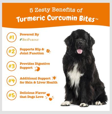 Bundle: Zesty Paws Curcumin Bites Everyday Vitality Duck Flavor Dog Supplement, 90 count + Zesty Paws Salmon Bites Skin & Coat Dog Supplement, 90 count