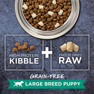 Raw Boost Large Breed Puppy Grain-Free Real Chicken Recipe Dry Dog Food, 20-lb bag