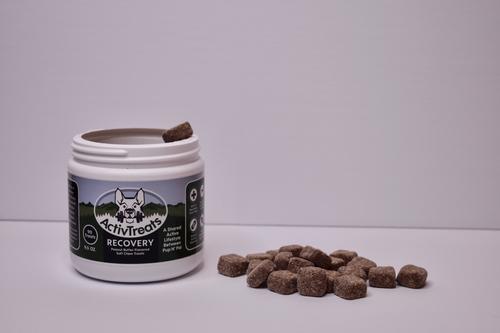 Recovery Peanut Butter Flavored Soft Chews Dog Supplement, 90 count