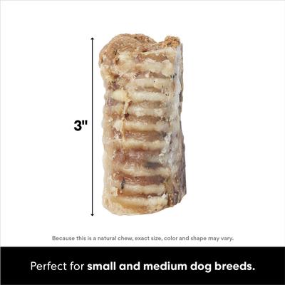 Made in USA Peanut Butter Flavored Filled Beef Trachea Dog Treats, 2 count