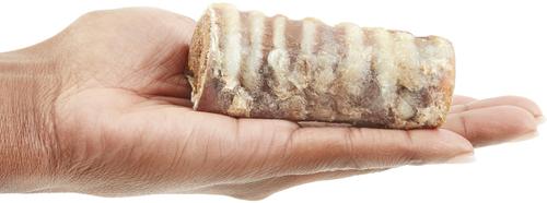 Made in USA Peanut Butter Flavored Filled Beef Trachea Dog Treats, 2 count