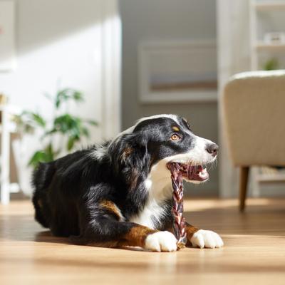Braided Beef Gullet Dog Treat, 11"-12", 3 count