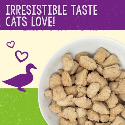 Bundle: Stella & Chewy's Stella's Solutions Digestive Boost Chicken + Duck Duck Goose Dinner Morsels Freeze-Dried Cat Food