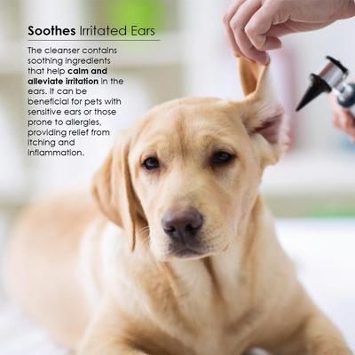 Otiderm Dog & Cat Ear Cleaner, 8-fl oz bottle