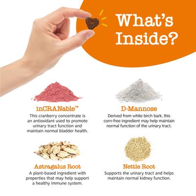 Bundle: Zesty Paws Cranberry Bladder Bites Urinary Tract Support Chicken Flavor Chews for Dogs, 90 count + Zesty Paws Salmon Bites Skin & Coat Dog Supplement, 90 count