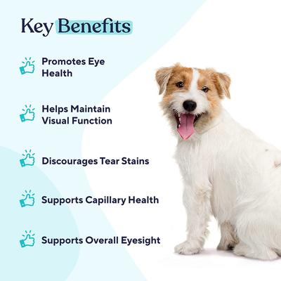 Eye Support Peanut Butter Flavor Supplement for Dogs, 60 count