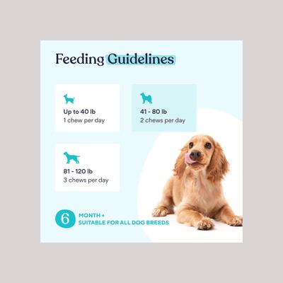 Eye Support Peanut Butter Flavor Supplement for Dogs, 60 count