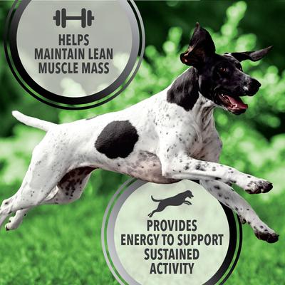 Bundle: Iams Proactive Health Active Chicken & Turkey Recipe Dry Food + Pedigree Choice Cuts in Gravy Variety Pack Wet Dog Food