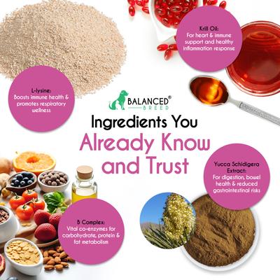 Cat L-Lysine Immune Support Natural Chicken Flavored Soft Chew Immune Supplement for Cats, 60 count